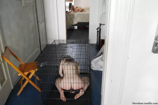 I wish this was me in the cage... I wish this was me in the cage...