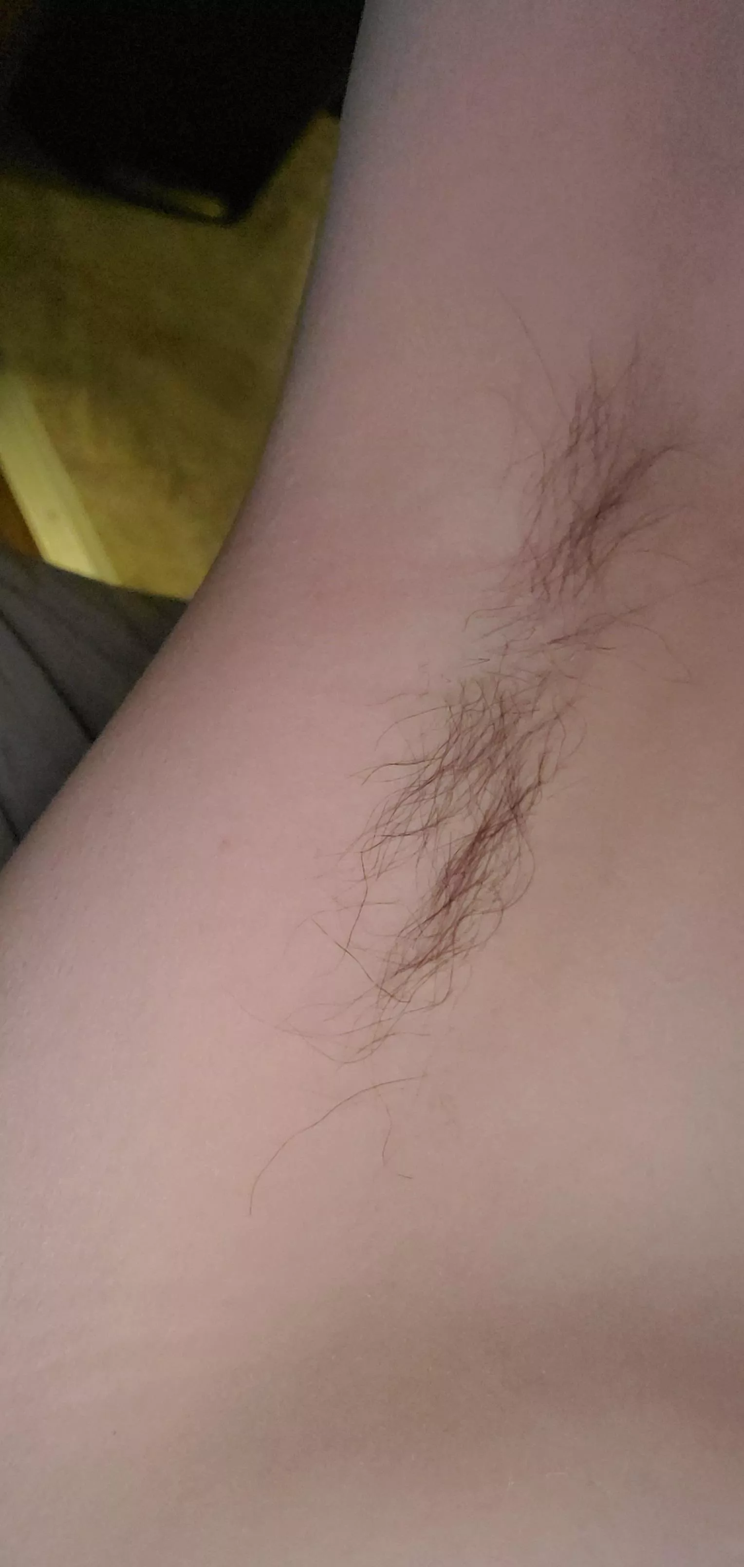 I wish you could smell these