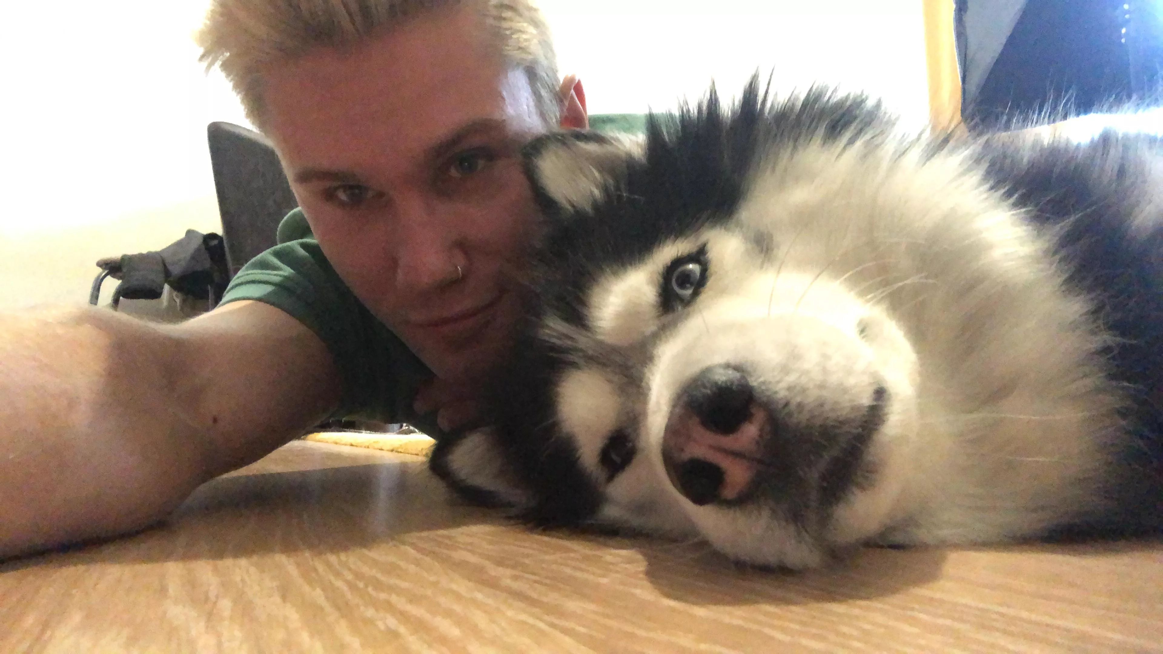 I work as a nanny for dogs. It's great. Try this guys