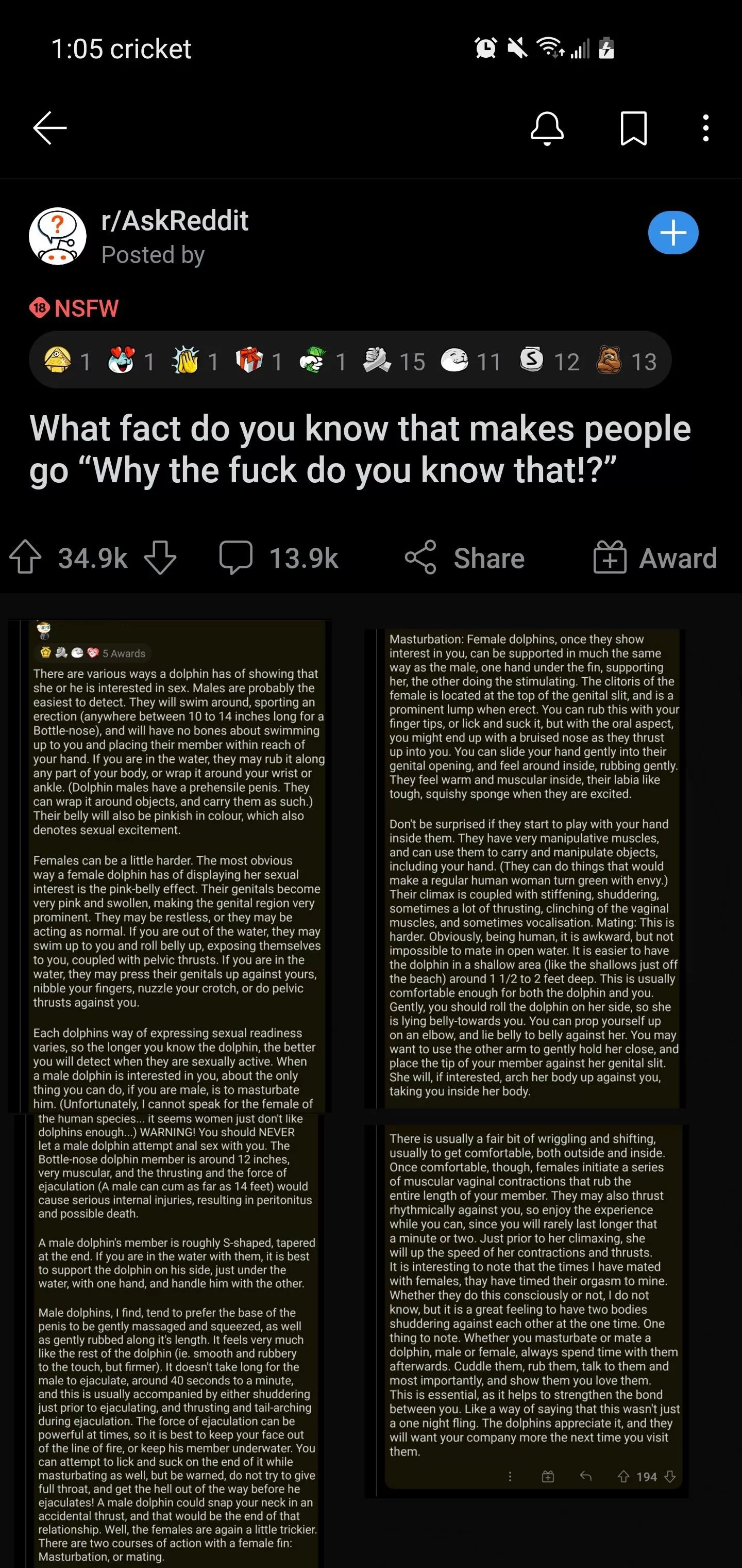 IDontWantToFuckADolphinIDontWantToFuckADolphin IDontWantToFuckADolphinIDontWantToFuckADolphin