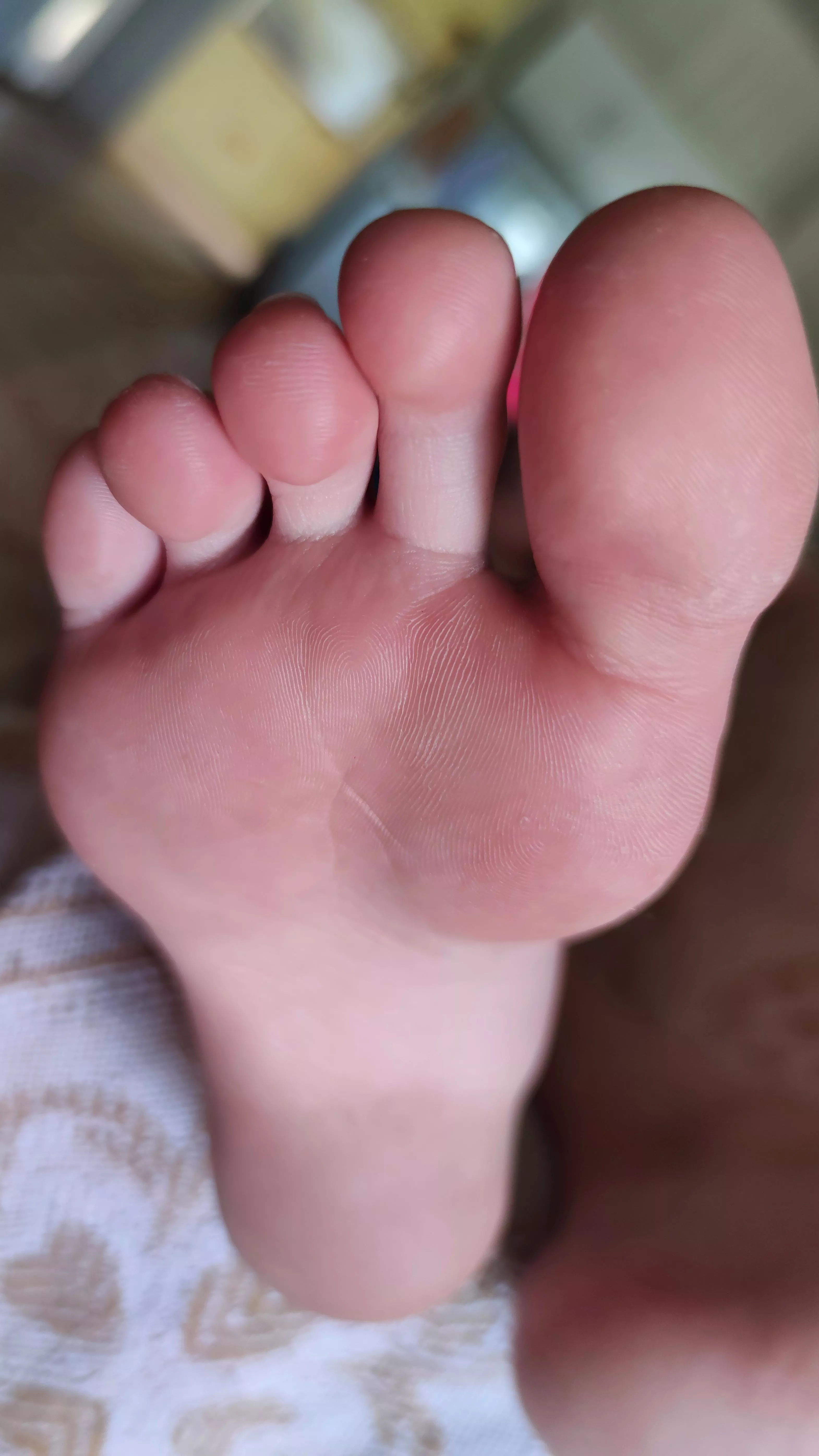 If you could only imagine how good they smell and how good they taste. Get closer, try to imagine. If you could only imagine how good they smell and how good they taste. Get closer, try to imagine.