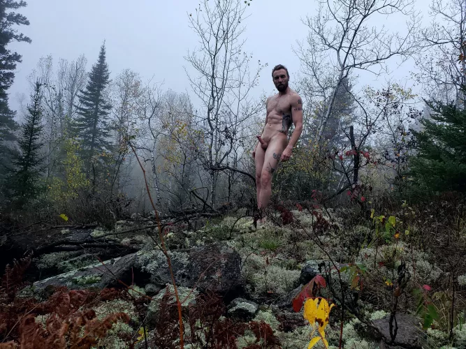 If you found me in the woods would you suck it? If you found me in the woods would you suck it?