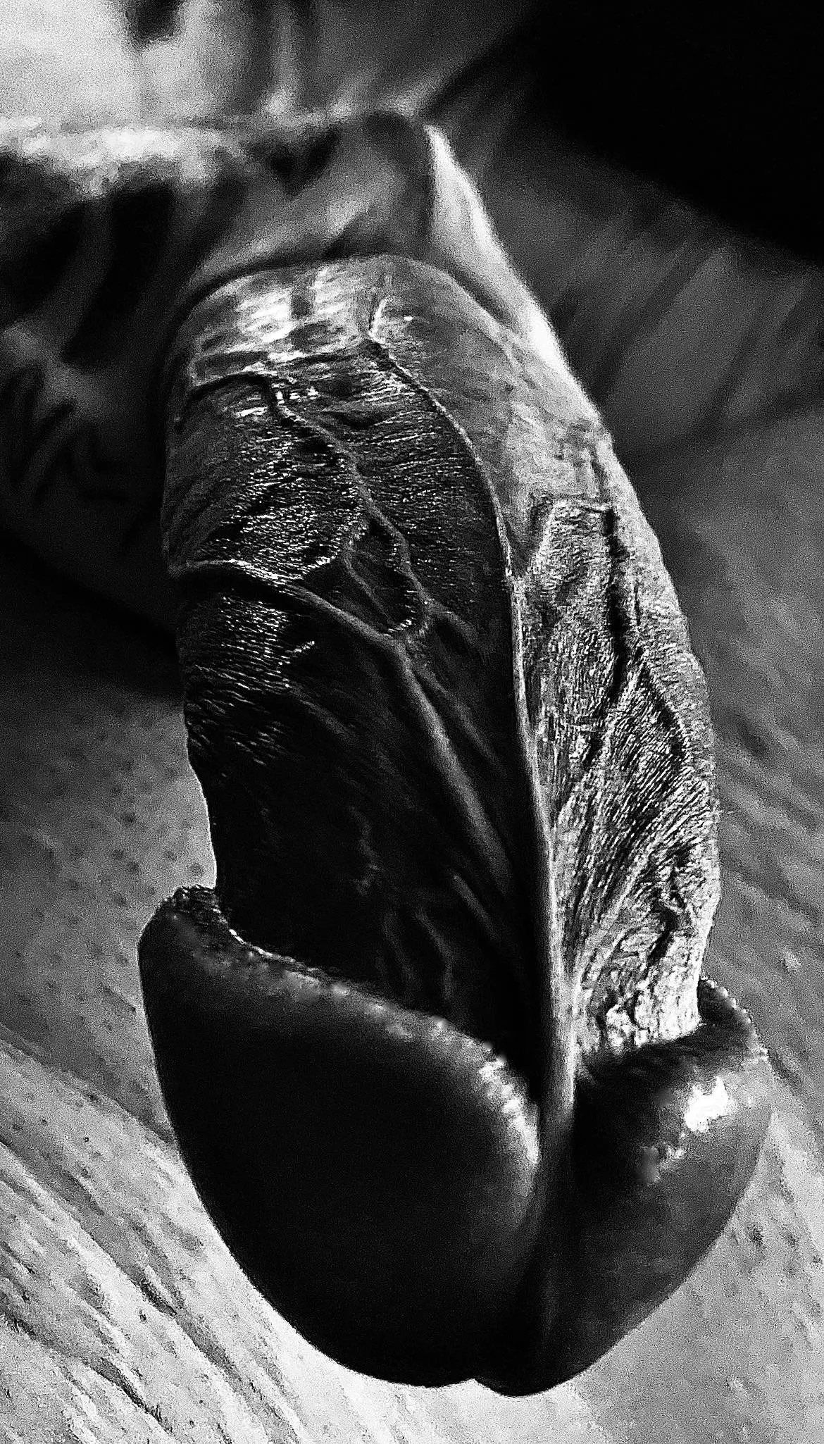 If you had the chance, how would you choose to spend the time with me and my massive, veiny cock? If you had the chance, how would you choose to spend the time with me and my massive, veiny cock?