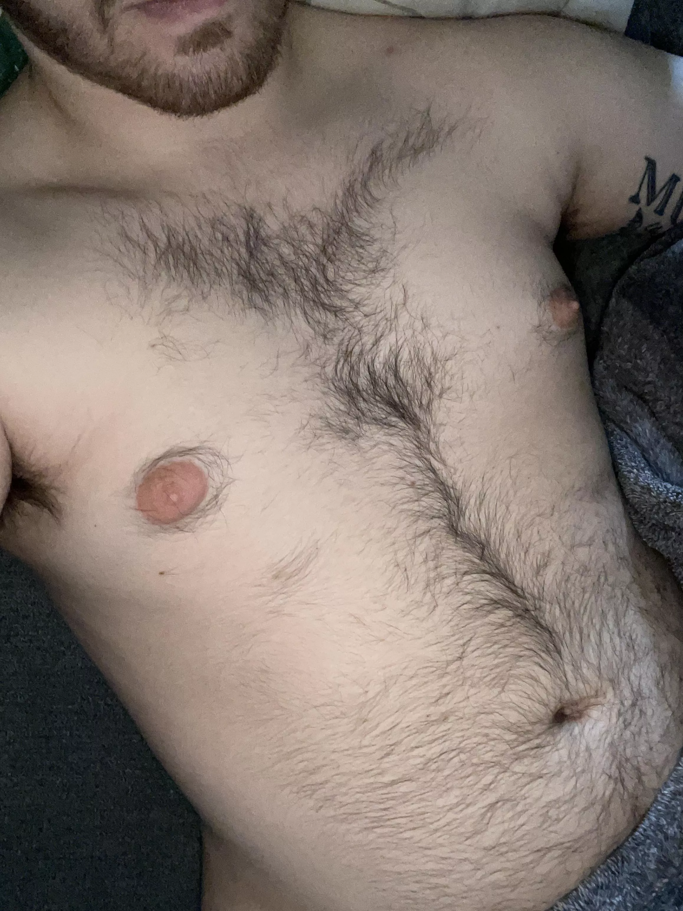 If you’re hairy and horny sc: Jbarone641