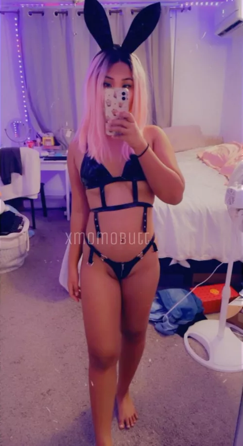 I’ll be your favorite Asian bunny