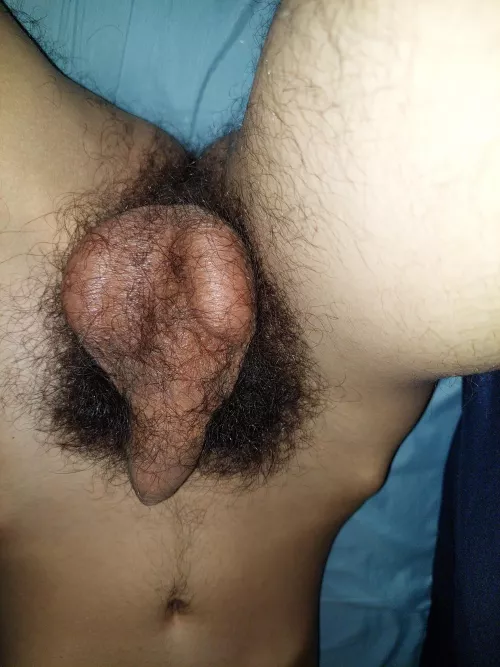 I'll give you something to suck on I'll give you something to suck on