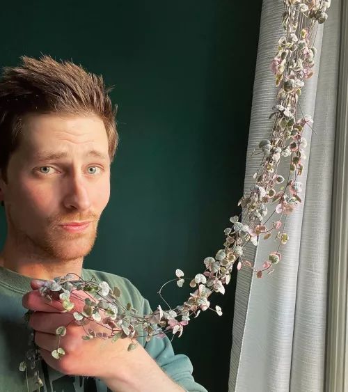 I’ll pay someone good money to come untangle this plant 😵‍💫