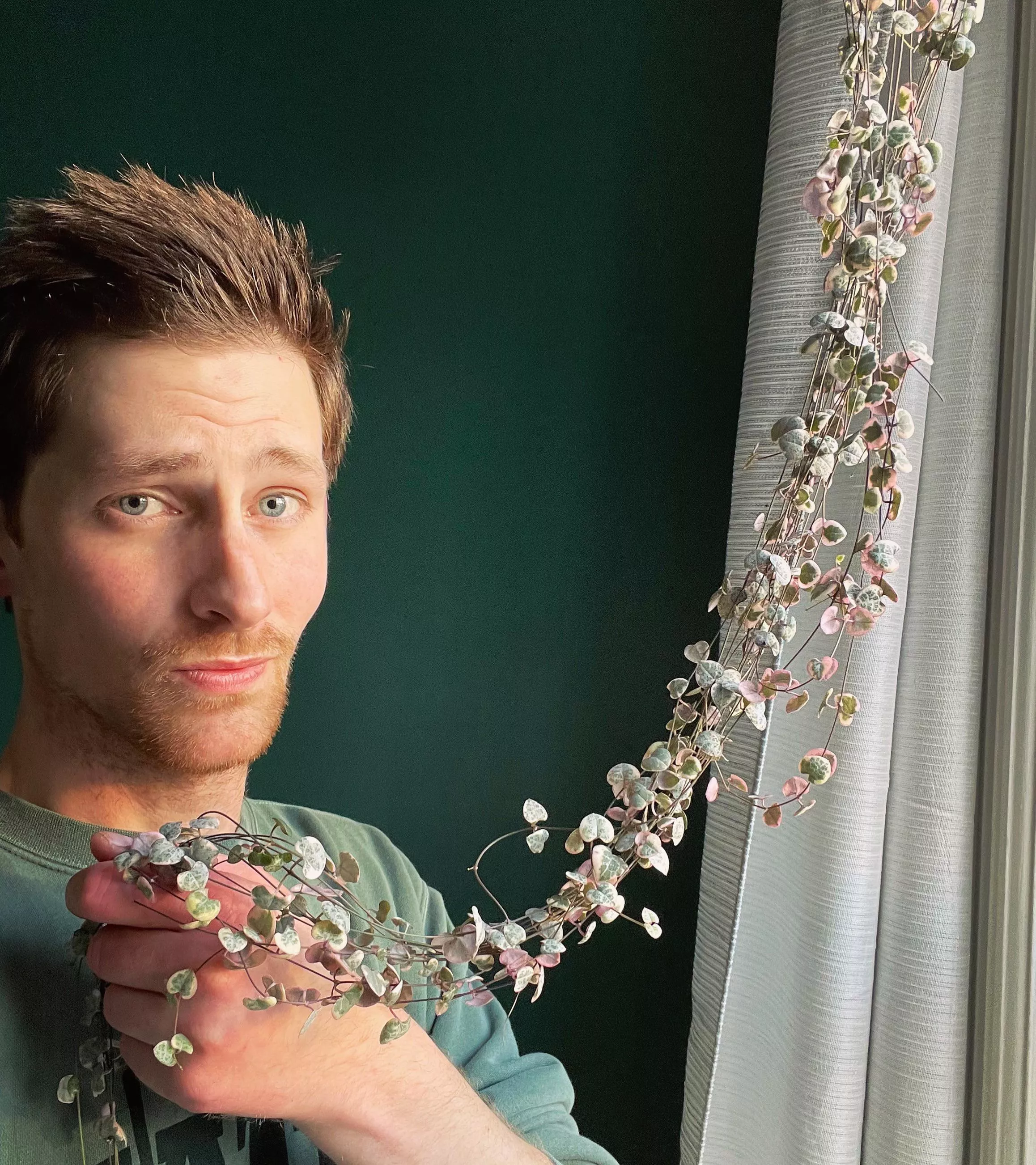 I’ll pay someone good money to come untangle this plant 😵‍💫