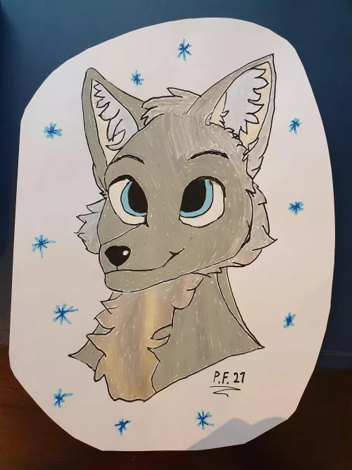 I'm a beginner, drew a furry. Would you boop?