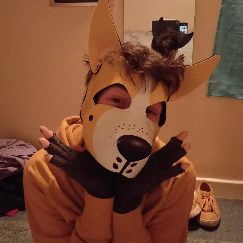 I'm a good boy, right?