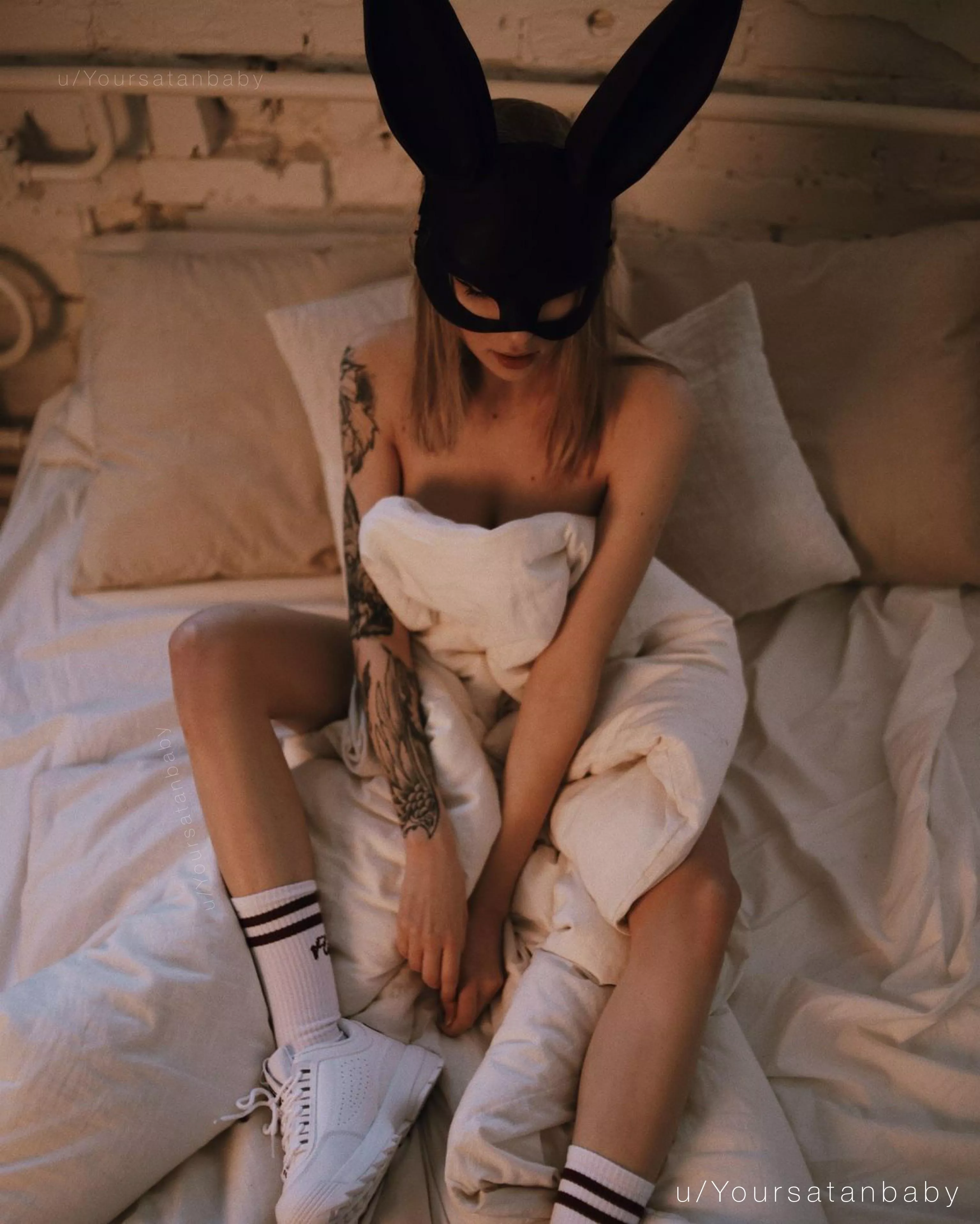 I'm a little bunny? ????