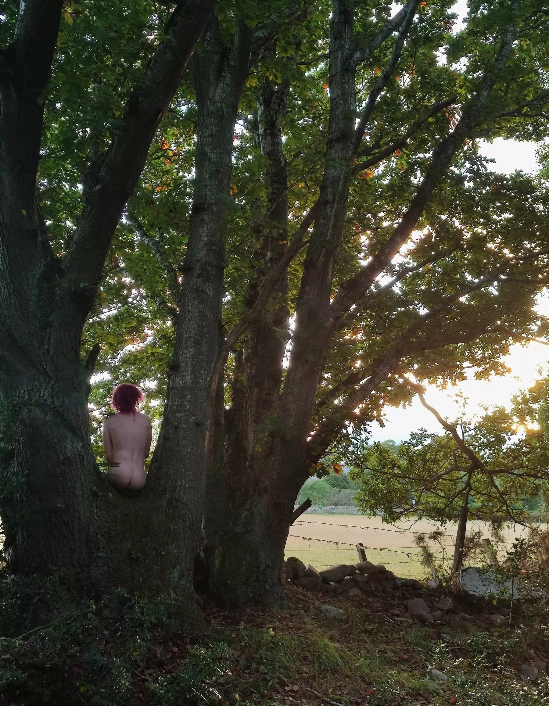 I'm a tree nymph I'm a tree nymph