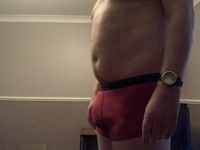 I’m bi curious. Am I a bear?