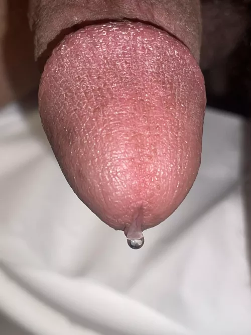Iβm dripping honey, who wants some ?