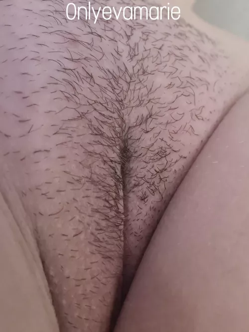 I'm growing my pussy hair for November I'm growing my pussy hair for November