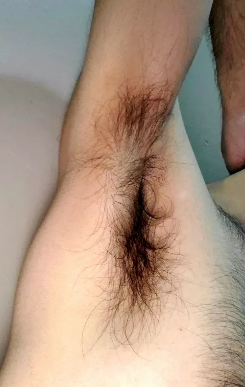 I'm hiding a bush under here ;)