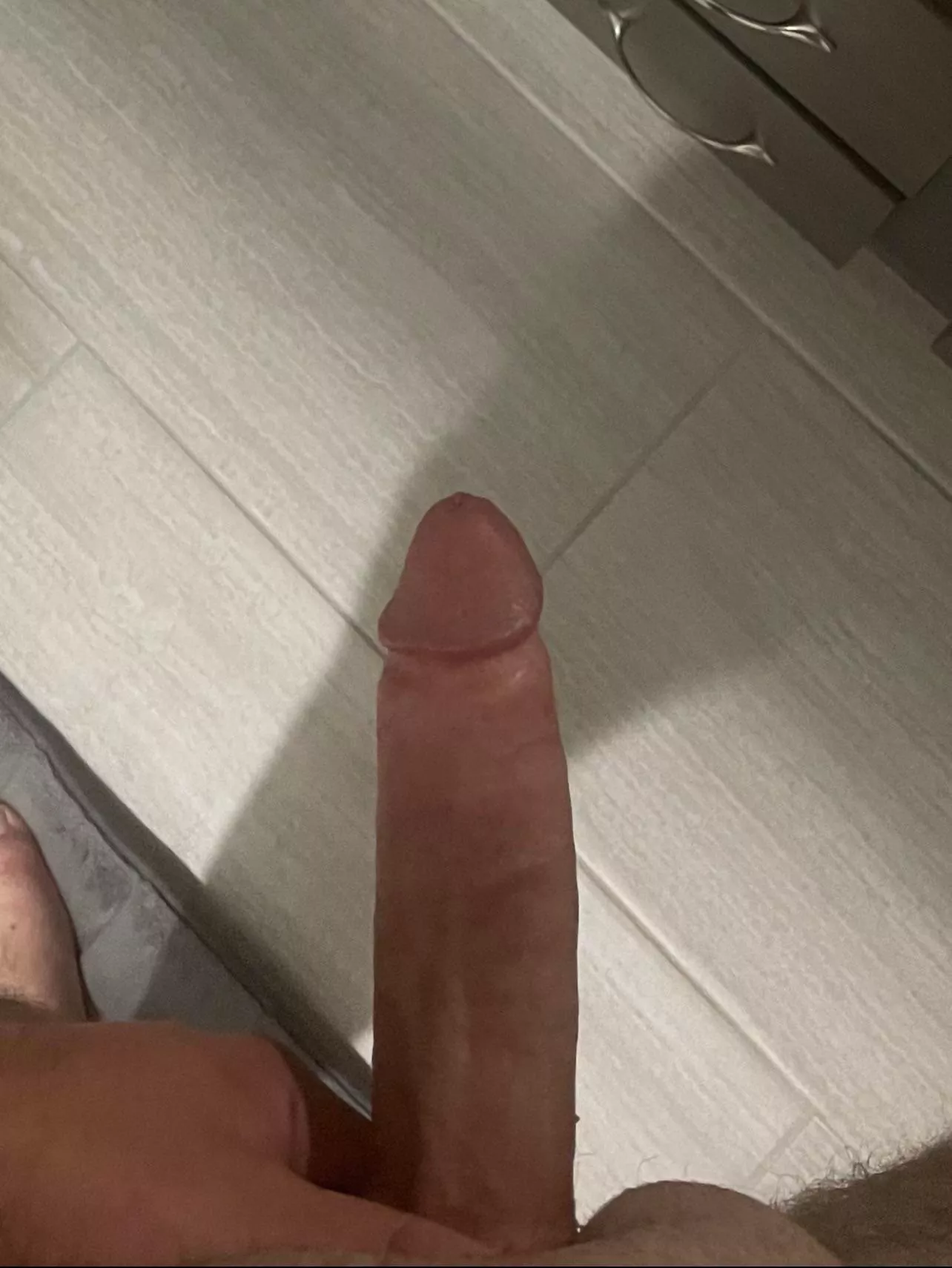 I’m looking for my cougar (M28) I’m looking for my cougar (M28)