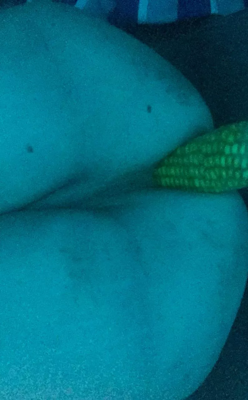 i'm love corn so much i'm love corn so much