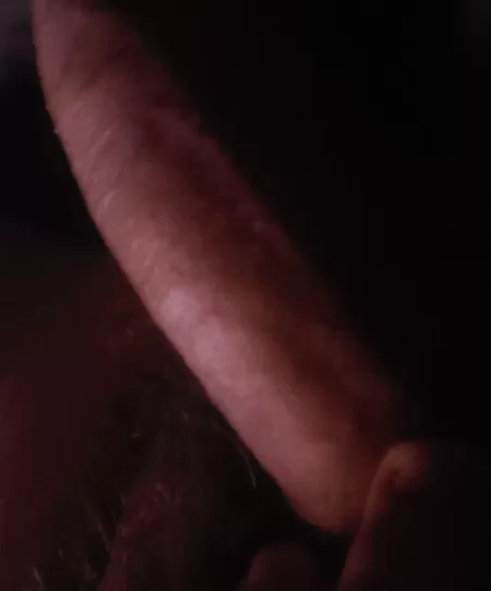 I'm new here and horny so have some uncircumcised cock. I'm new here and horny so have some uncircumcised cock.