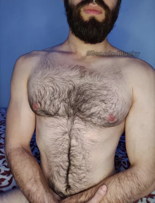 I'm not shaving it