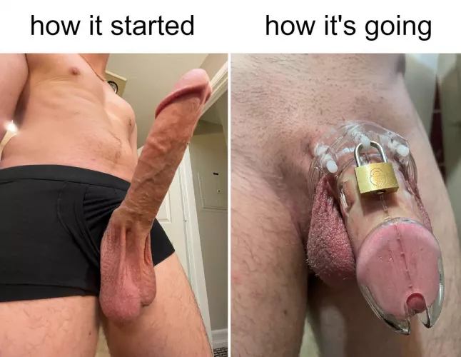 Iβm now more fascinated about how small my dick can be