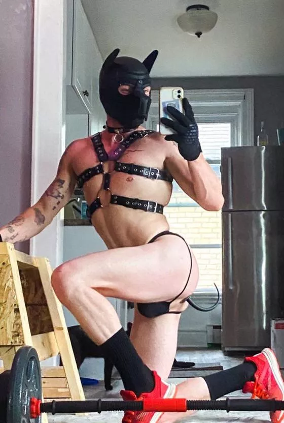 I’m so happy I found this page. Where’s my pack at? 🐶