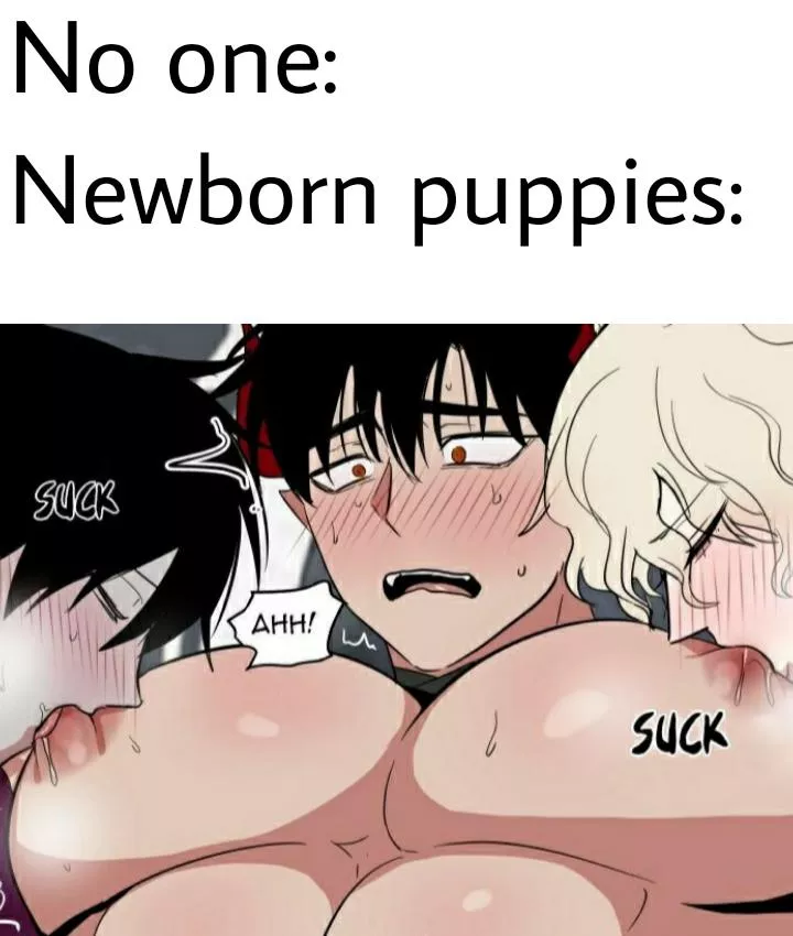 I'm sorry, that was the first thing I thought of 😭