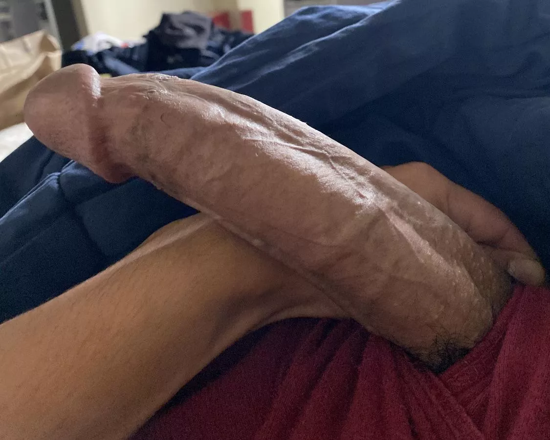 I’m straight.. but I want to know how many of you would actually suck my cock ? I’m straight.. but I want to know how many of you would actually suck my cock ?
