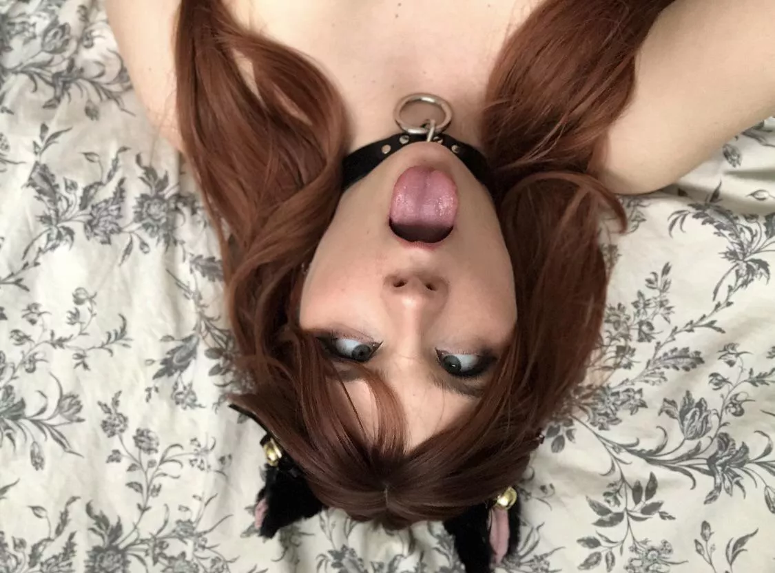 I’m such a good kitty, won’t put up fights