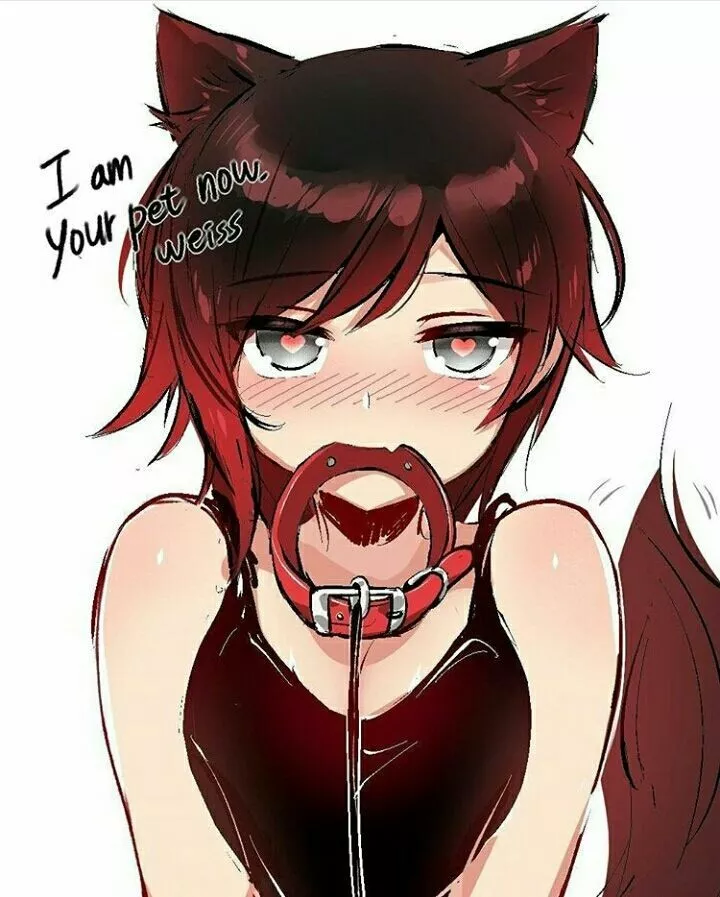 I'm your pet now I'm your pet now