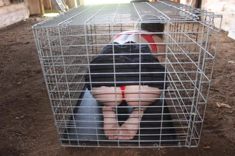 In her cage waiting to be used [F]