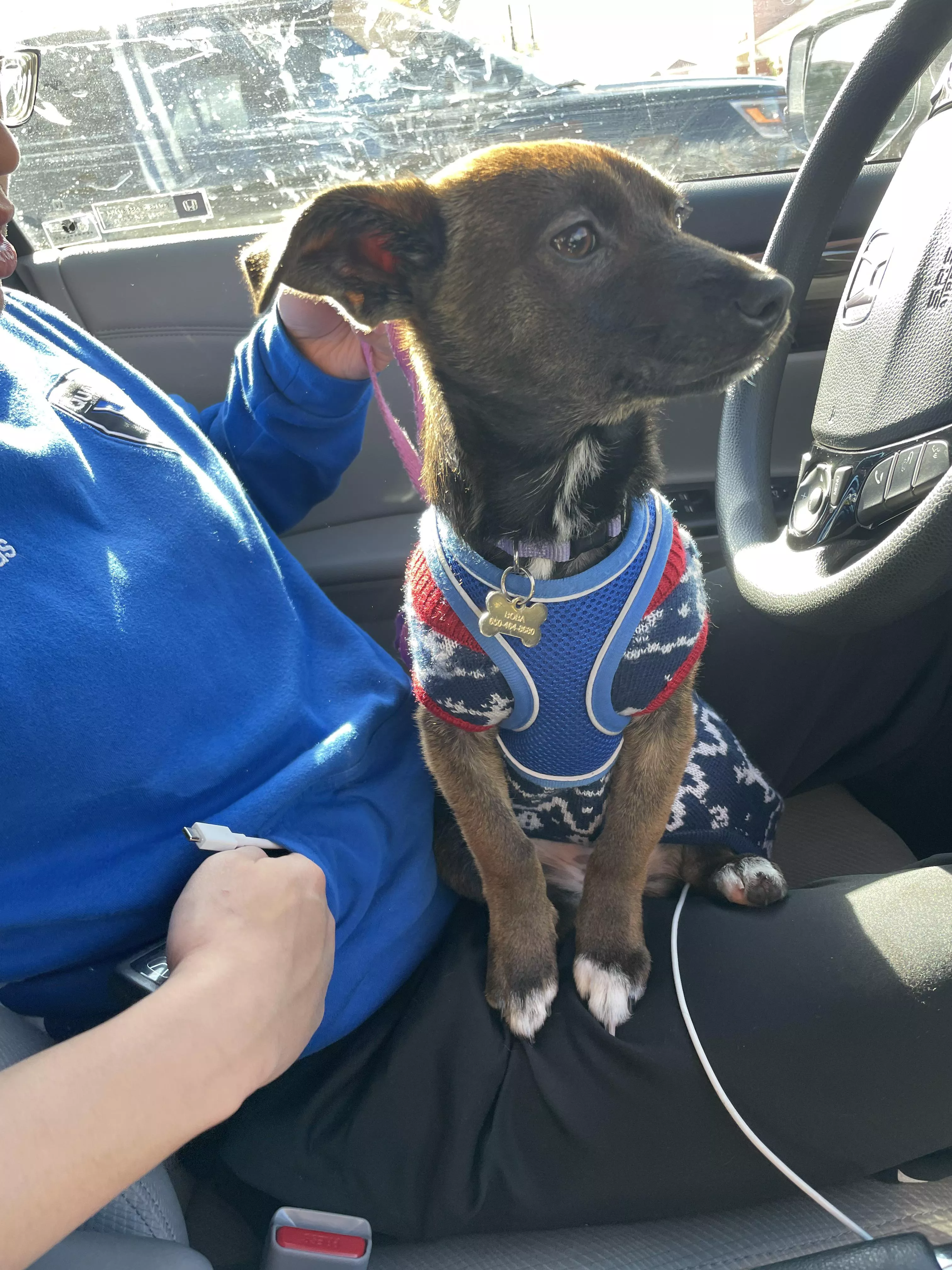 In her very first sweater