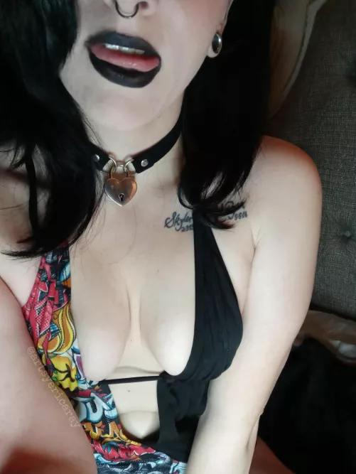 In my collar, I am free π€