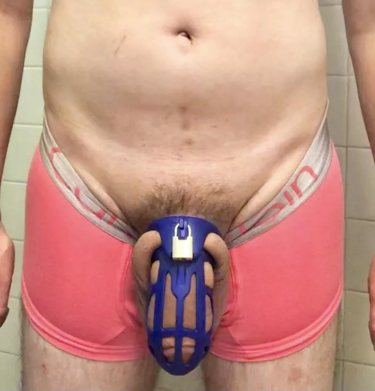In pink undies and big blue cage In pink undies and big blue cage