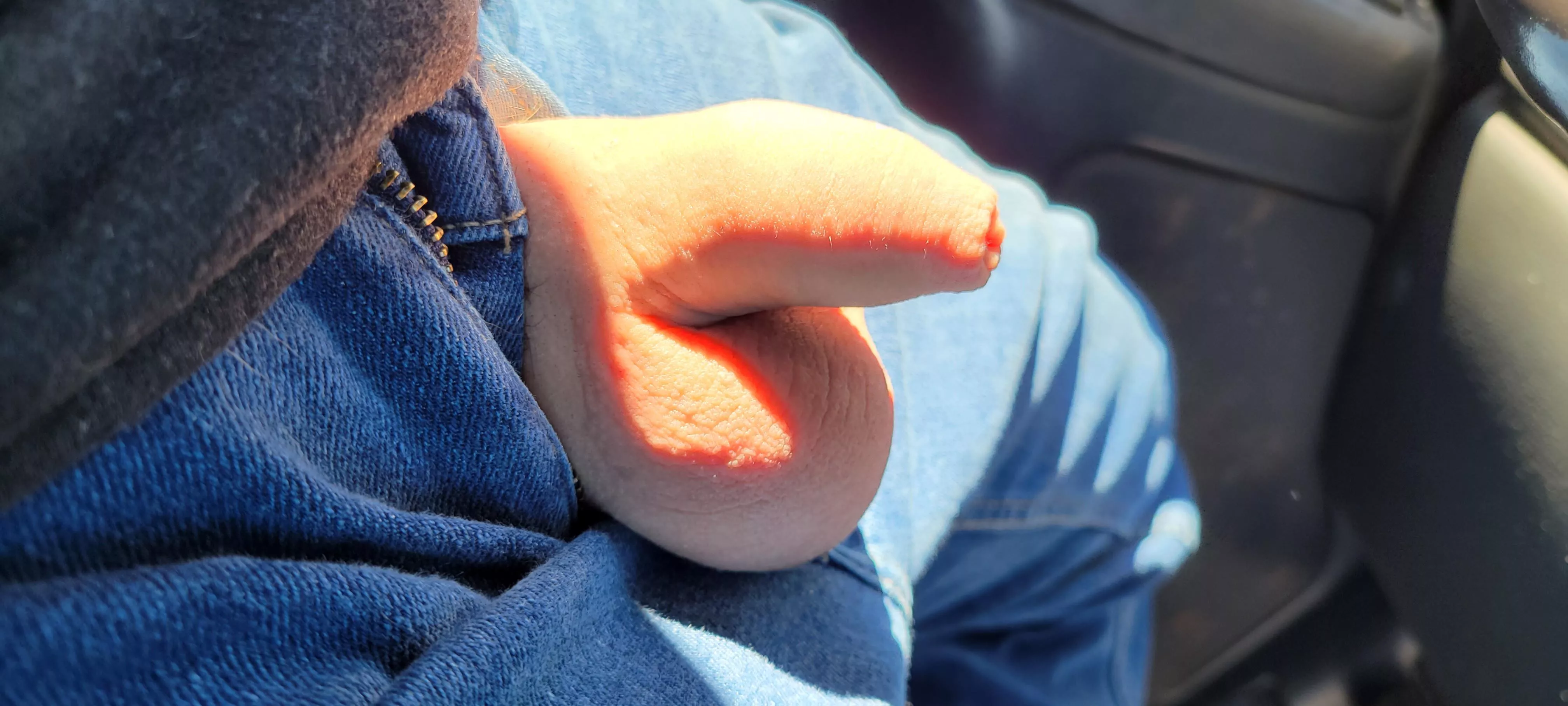 In the car In the car