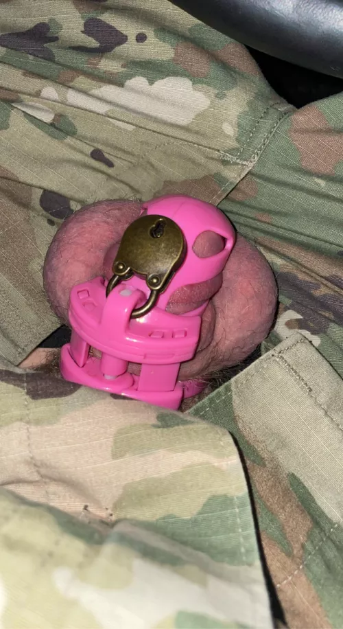In the field, wife locked me up before I left. How am I going to hide this? In the field, wife locked me up before I left. How am I going to hide this?