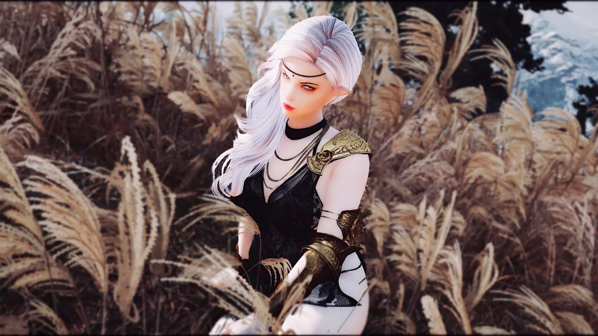 In the reed field. In the reed field.