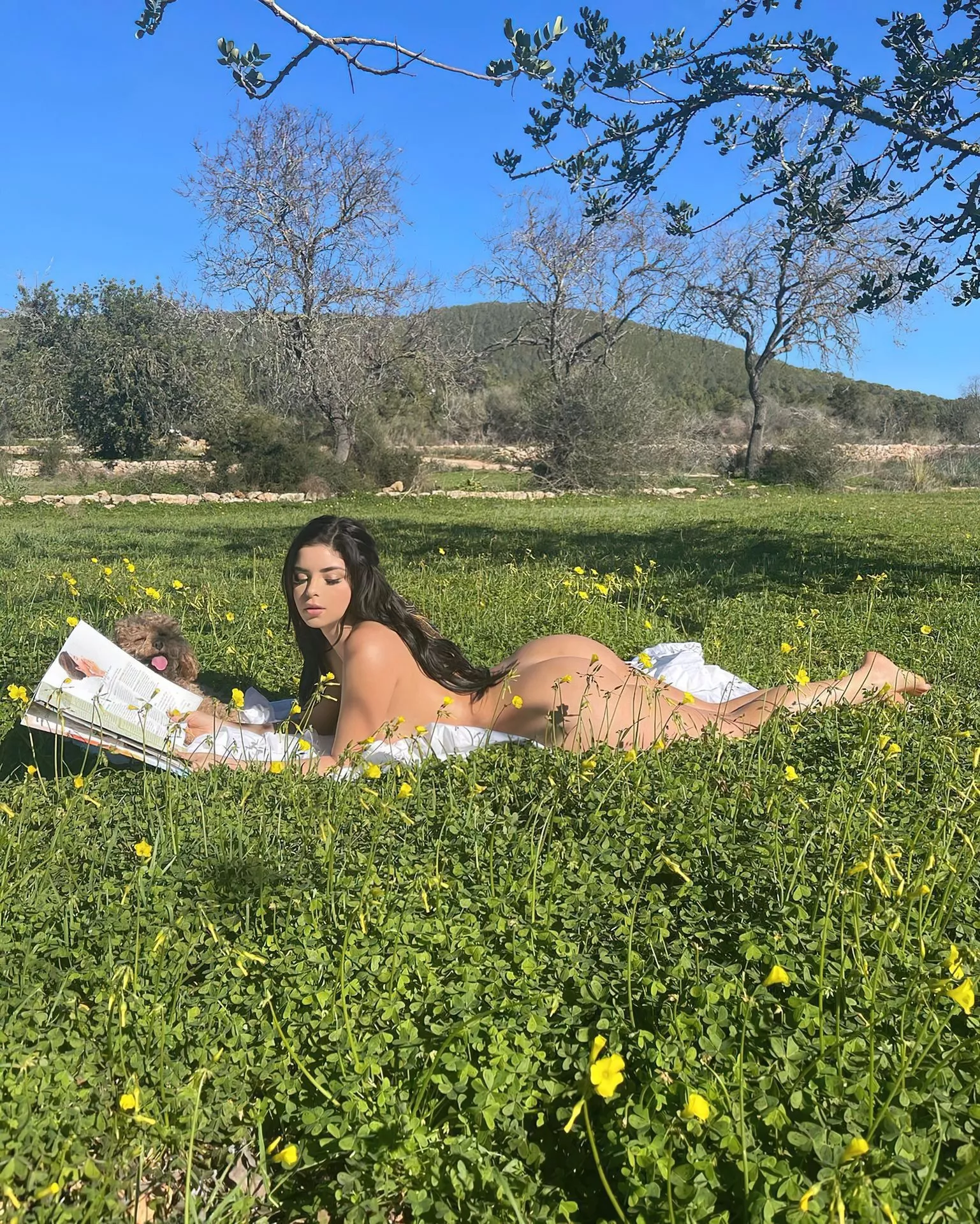In the weeds In the weeds