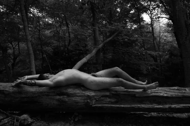 In the woods In the woods