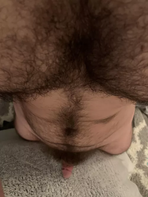 Insert face and relax