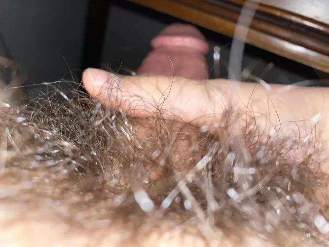 Inside the forest (18m)