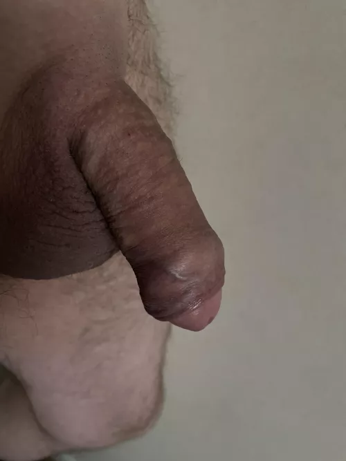 Intact👅
