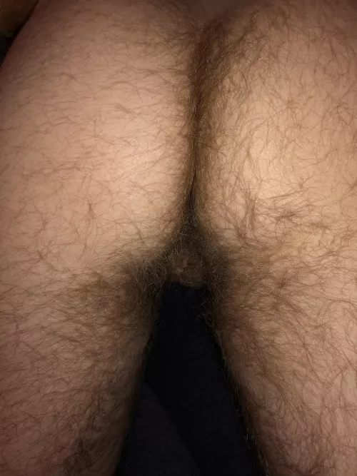 interested in a man with a hairy ass and a hairy cunt?