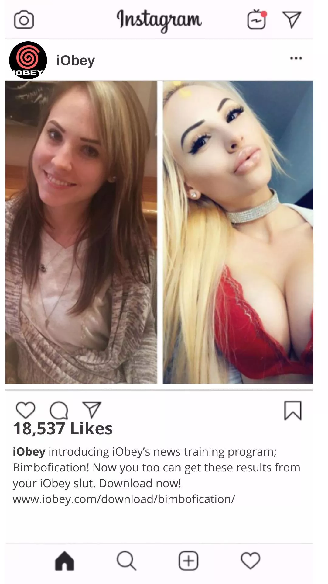 iObey Post Bimbofication Program iObey Post Bimbofication Program