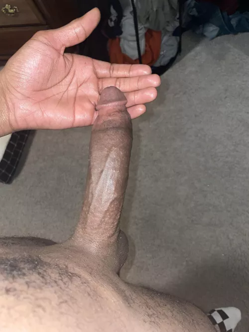 Is it big enough? [OC]