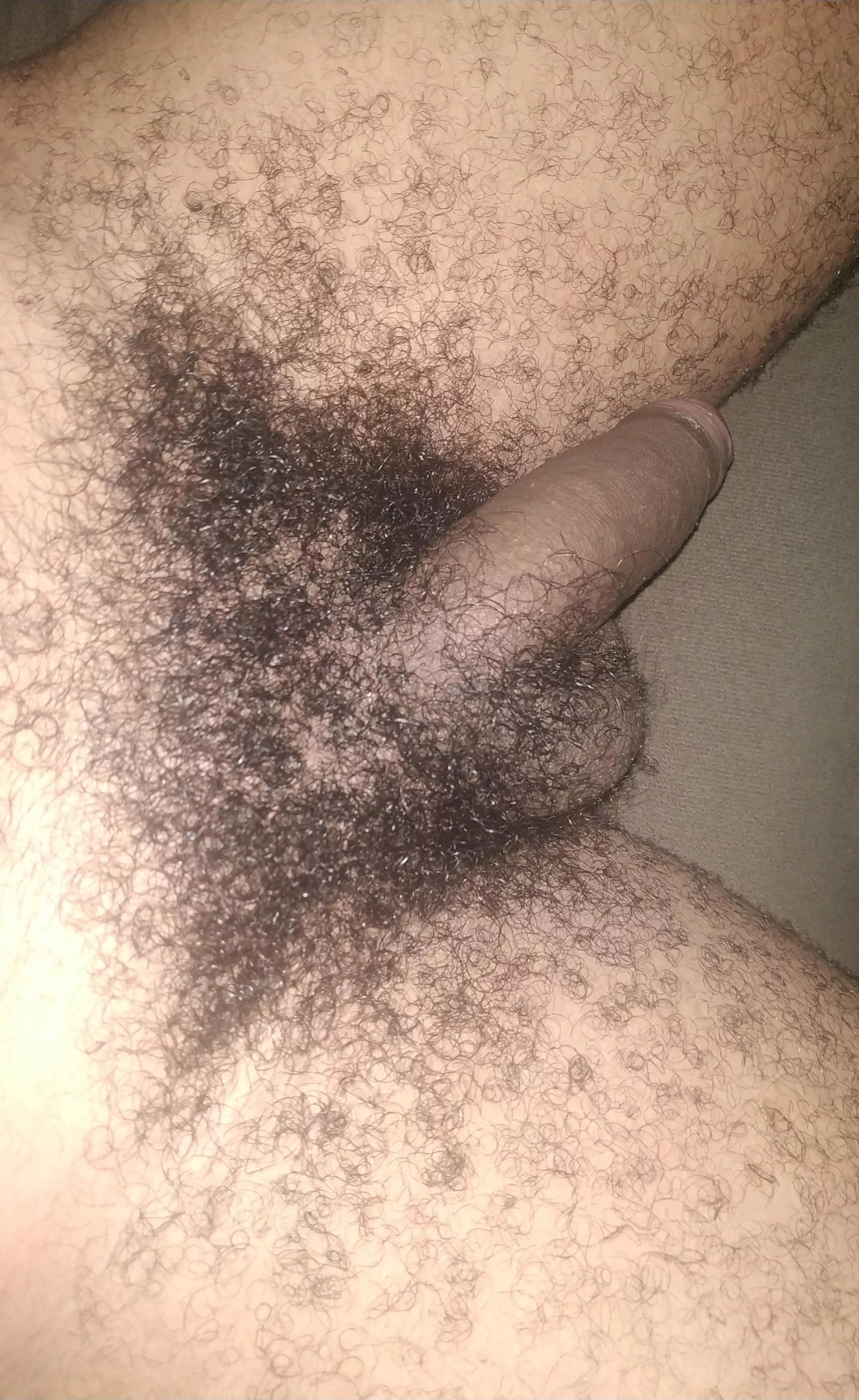 Is it hairy enough?