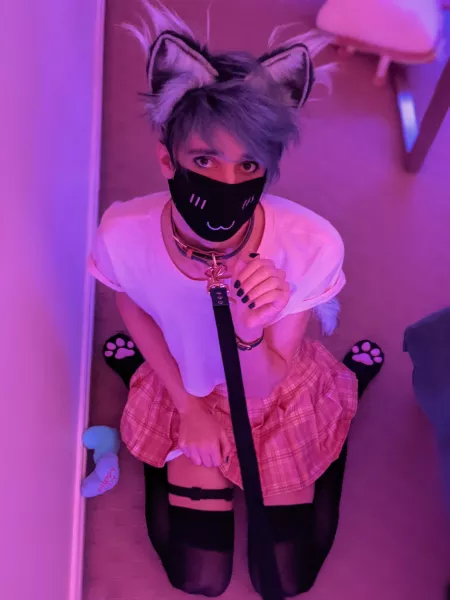 Is my breed of pup allowed here? I’m well trained!! 🐾🐶