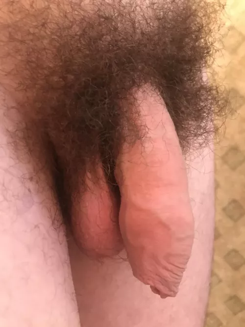 Is there anything more beautiful than an uncut penis?