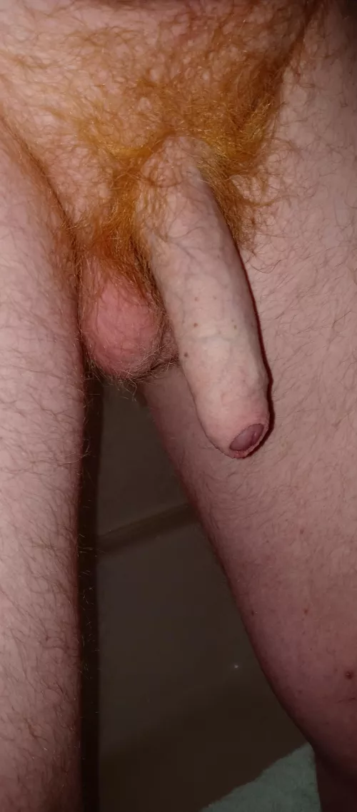 Is this fuckable