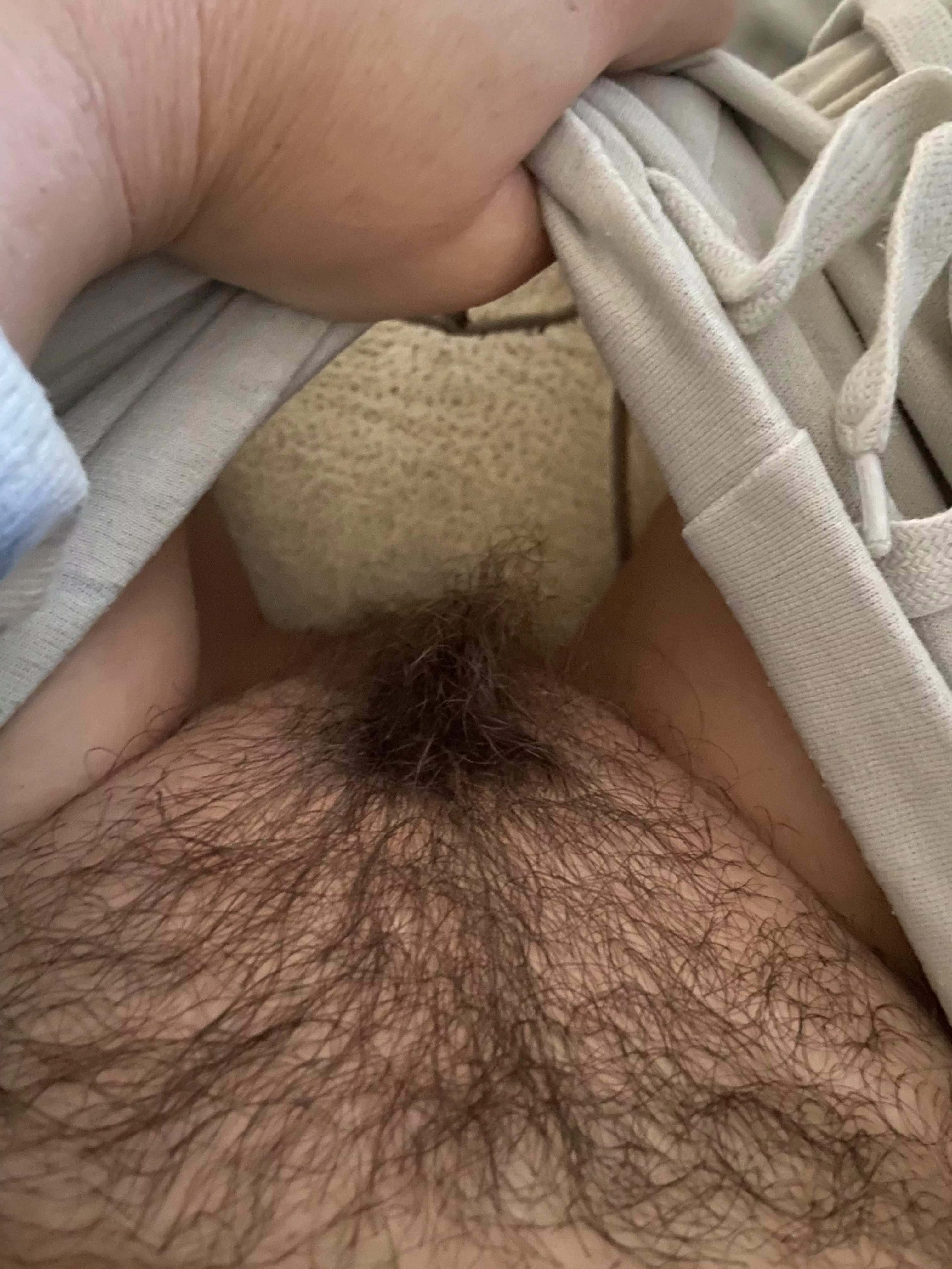 Is this hairy enough